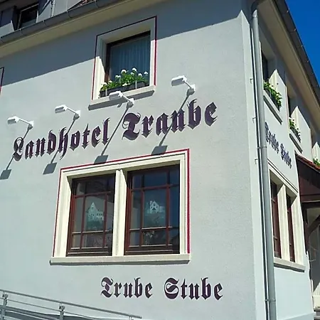 Traube Hotel 3*