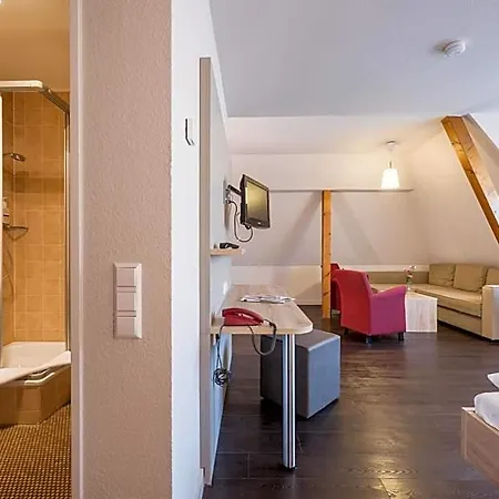Hotel Traube Konstancja