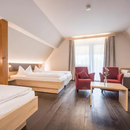 Traube Hotel 3*