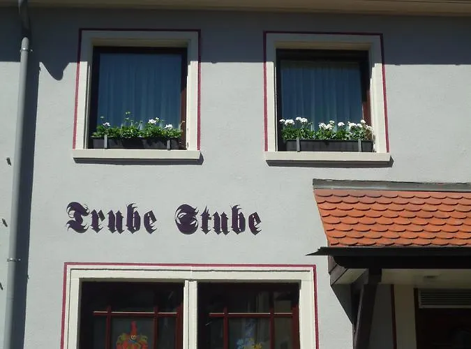 Traube Konstanz